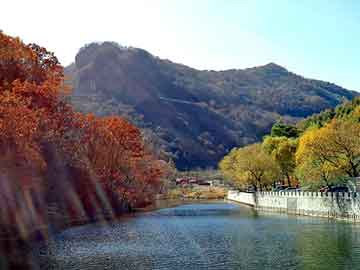 新澳天天开奖资料大全旅游团，中石油中石化